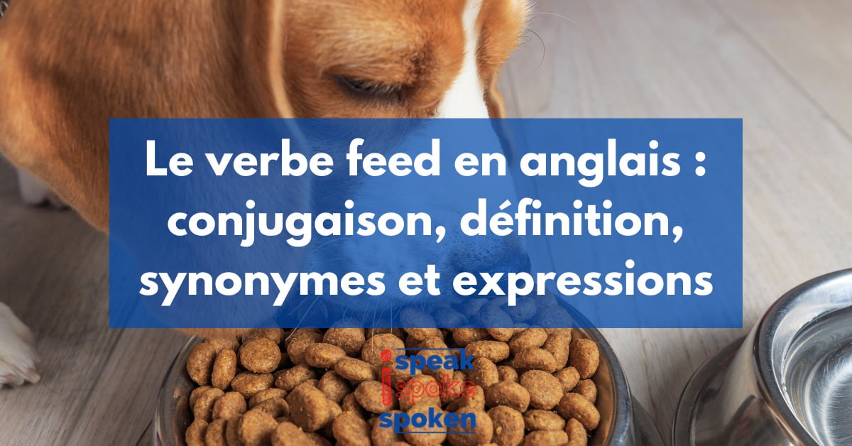 le verbe to feed en anglais