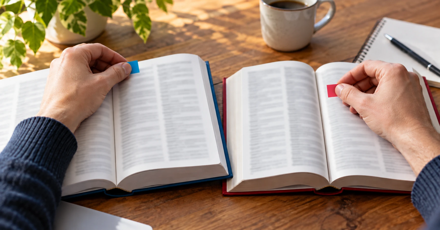 Deux dictionnaires sont comparés à l’aide de marque-pages de couleur.