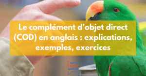 Explications, exemples et exercices sur le complément d’objet direct ou COD en anglais