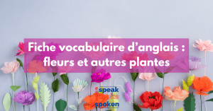 vocabulaire plantes, fleurs et arbres en anglais