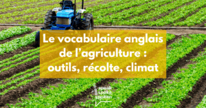 Le vocabulaire anglais de l’agriculture