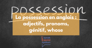 Leçon sur la possession en anglais avec les adjectifs, les pronoms, le génitif, et whose